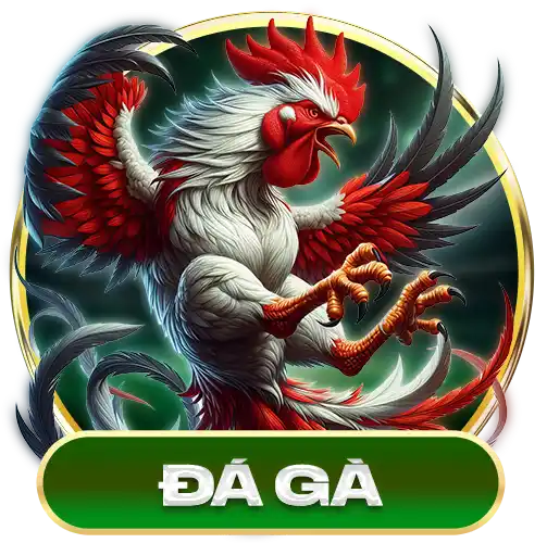đá gà ad88