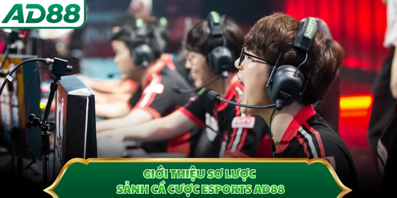 Giới thiệu sơ lược sảnh cá cược Esports AD88